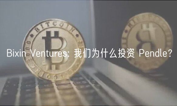 Biin Vnturs: 我们为什么投资 Pndl？