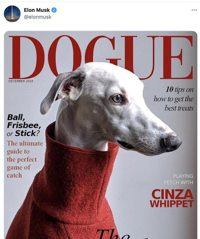 2021年狗狗币前景怎么样？DOGE有投资的价值吗？