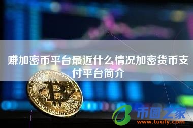 赚加密币平台最近什么情况加密货币支付平台简介