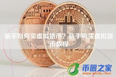 新手如何买虚拟货币？新手购买虚拟货币教程