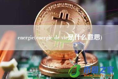 energie(energie de vie是什么意思)