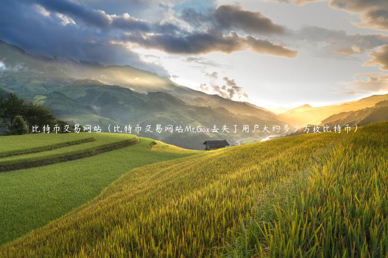 比特币交易网站（比特币交易网站Mt.Gox丢失了用户大约多少万枚比特币）
