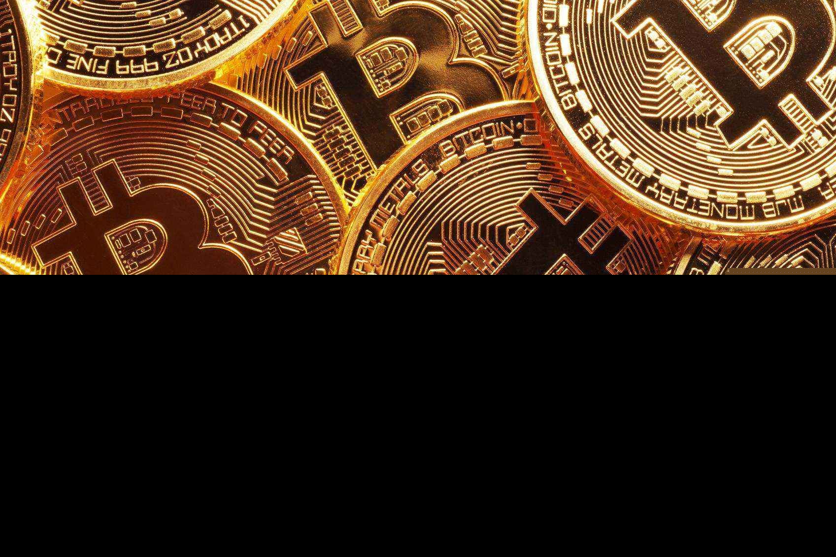 Marange计算机程序狗（Marange计算机程序狗App浏览官方网站）