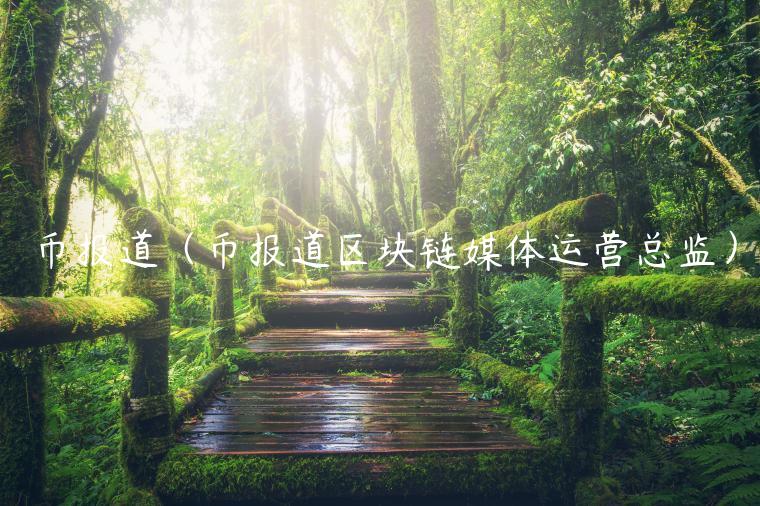 币报道（币报道区块链媒体运营总监）