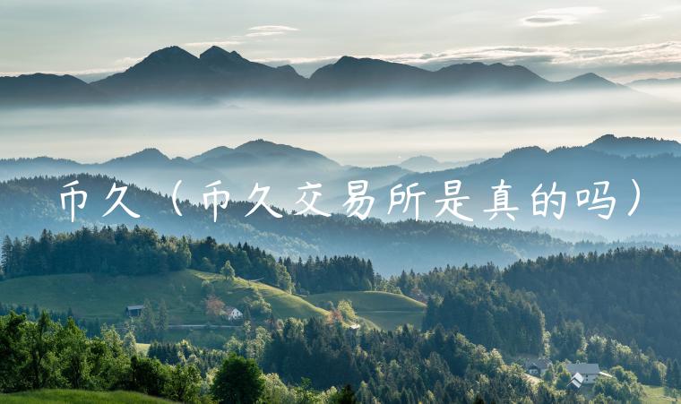 币久（币久交易所是真的吗）