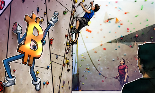 比特币价格创下19个月新高 大鲸的精心设计引领市场繁荣