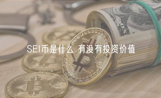 SI币是什么 有没有投资价值