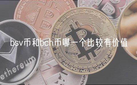 bsv币和bch币哪一个比较有价值