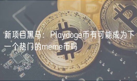 新项目黑马：Playdog币有可能成为下一个热门的mm币吗