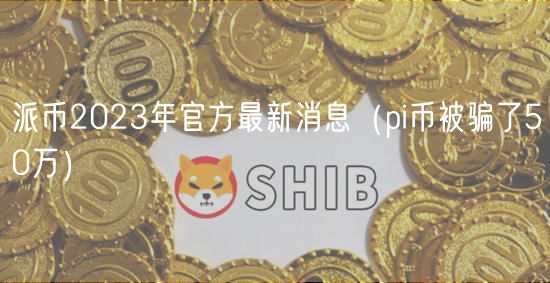 派币2024年官方最新消息（pi币被骗了50万）
