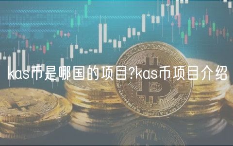 kas币是哪国的项目?kas币项目介绍