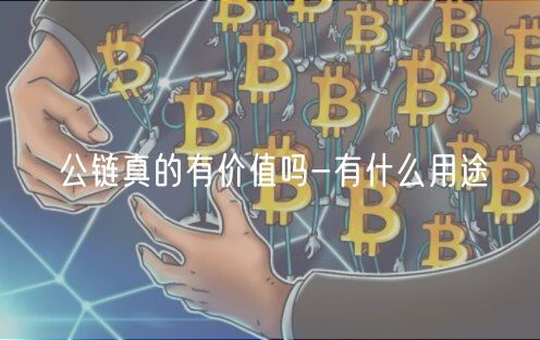 公链真的有价值吗-有什么用途