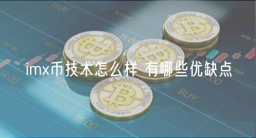 im币技术怎么样 有哪些优缺点
