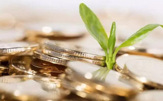 bee蜜蜂币什么情况了？bee小蜜蜂币是真的吗？