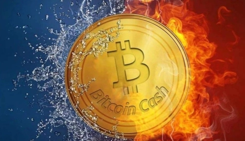 顶级分析师对BTC和MPP进行盈利潜力比较