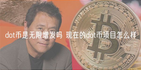 dot币是无限增发吗 现在的dot币项目怎么样