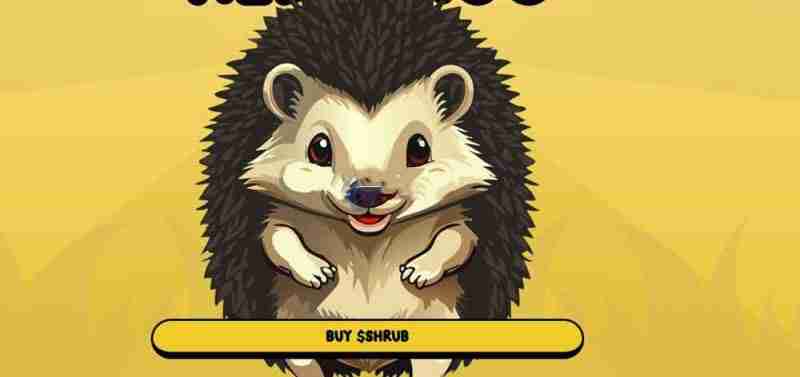 SHRUB币上线交易所有哪些?SHRUB币在哪买?