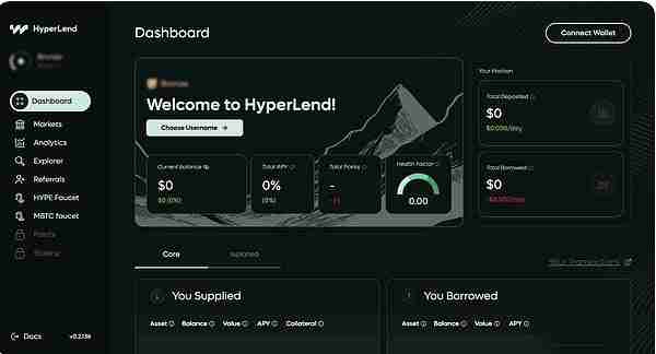 HyperEVM生态热门项目分析:未来前景如何？