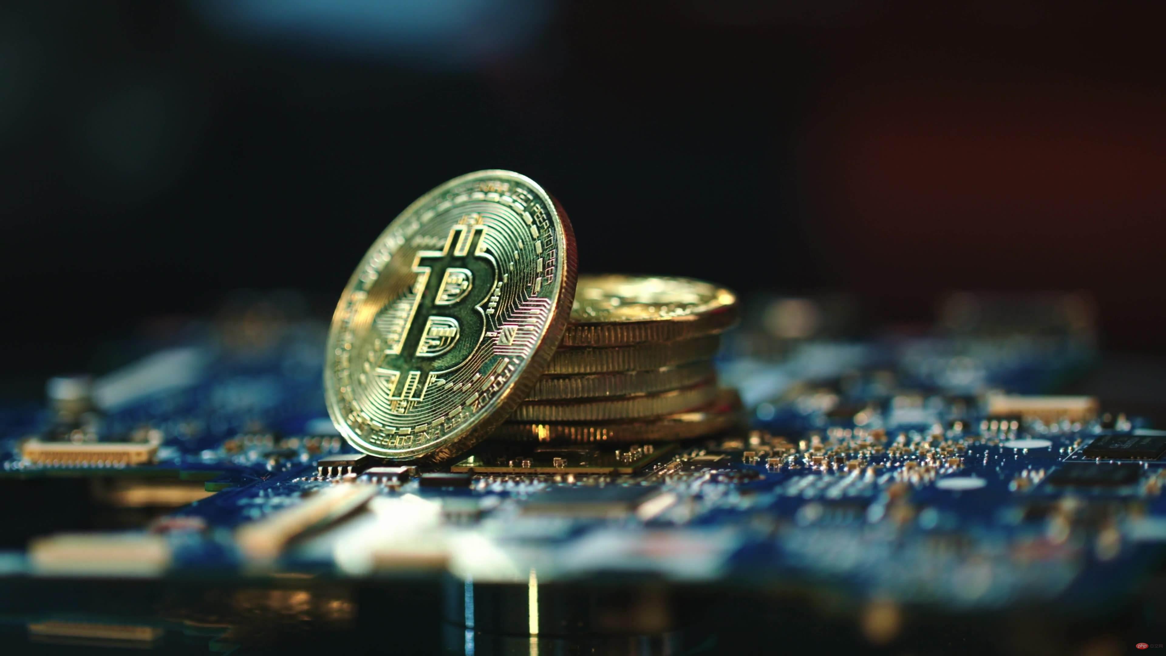 1732170328973137.jpg 62efc0c50881b.jpg