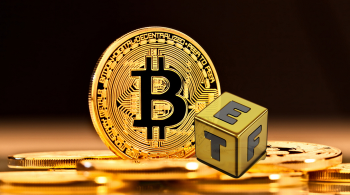 如何查询比特币ETF的手续费？