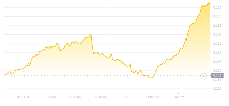 2024年10月12日波场币价格