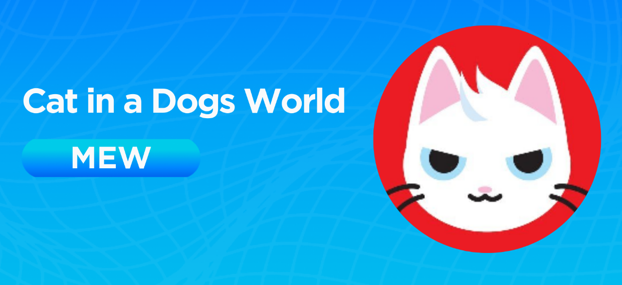 MEW是什么币种？MEW币值得长期持有吗？MEW币前景如何？