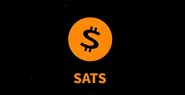 2024年SATS币会涨到1美元吗？