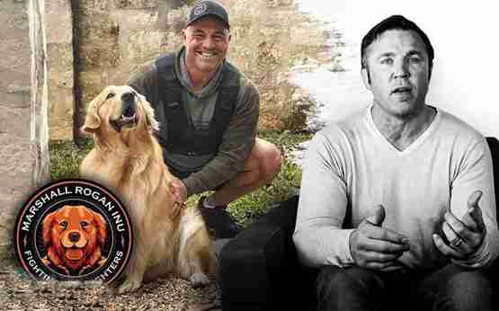 MRI币价格多少?MRI币价格最新行情