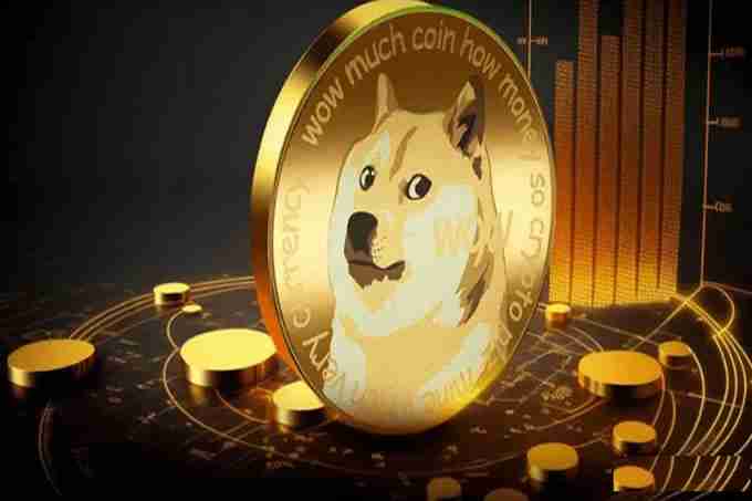 狗狗币狂飙突进?2025年能否问鼎0.40美元?