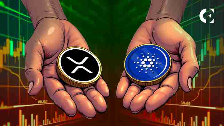 当前的链上条件表明XRP发育中的看跌长期信号