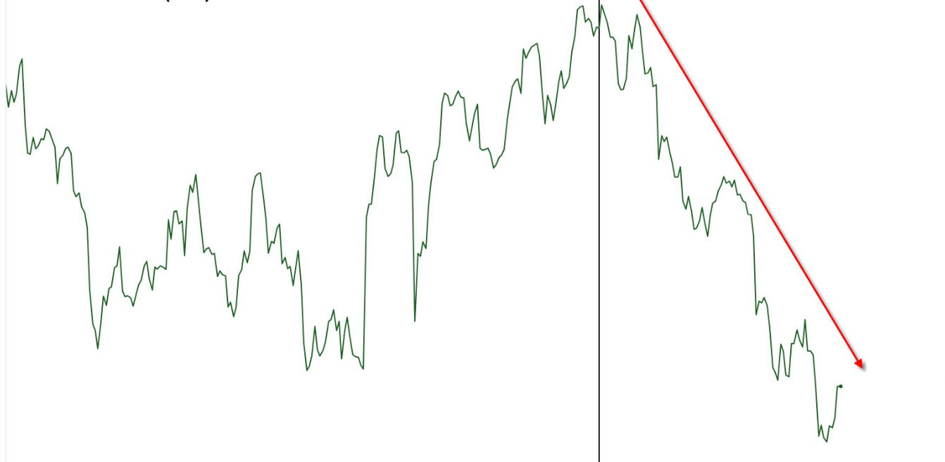 如何避免在本次山寨币季中亏损?10个致命错误与应对策略