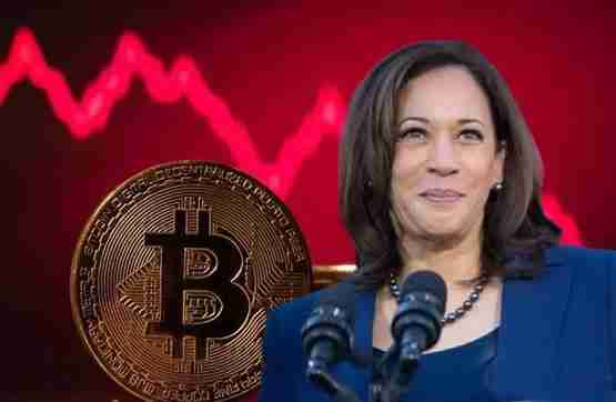 Bernstein:哈里斯胜选恐致比特币回测4万美元!比特币下杀6万美元