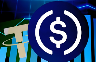 WIF币价格在2.5美元 WIF币未来前景怎么样